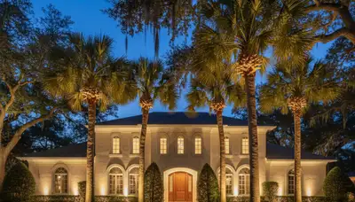 Dramatic tree uplighting showcasing professional landscape lighting in Myrtle Beach, SC at night
